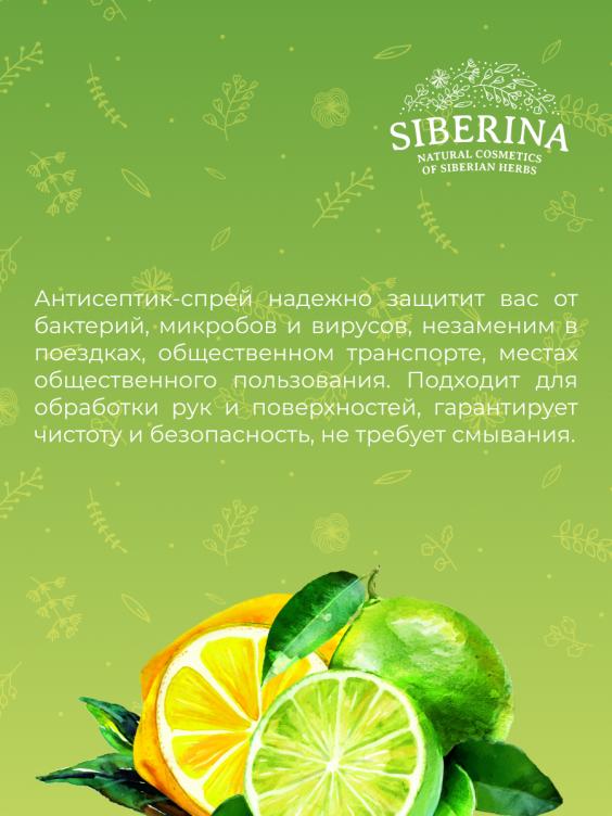 Антисептик-спрей для рук антибактериальный "Лимон и лайм" ATS(5)-SIB